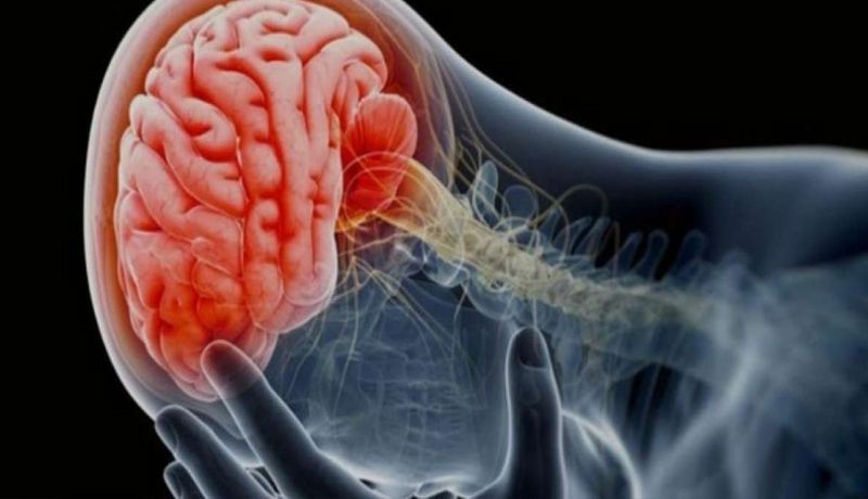 Expertos estudian posibles causas de la conmoción cerebral