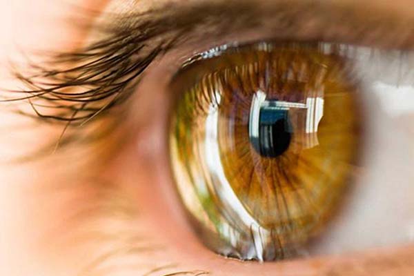 Las matemáticas permitieron definir el perfil corneal del mexicano