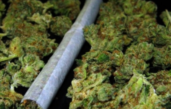 A debate internacional, potencial de la cannabis como industria