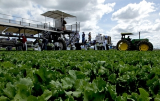 Alimentar a más de nueve mil millones de habitantes, el reto a futuro