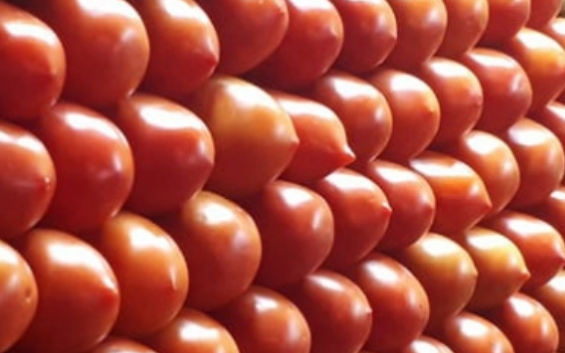 Precio de productos básicos con variaciones mixtas en mercados del país