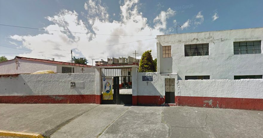 Abejas atacan iglesia; hay al menos 15 heridos