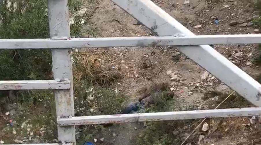 Encuentran hombre sin vida en arroyo de la colonia La Madrid en Saltillo