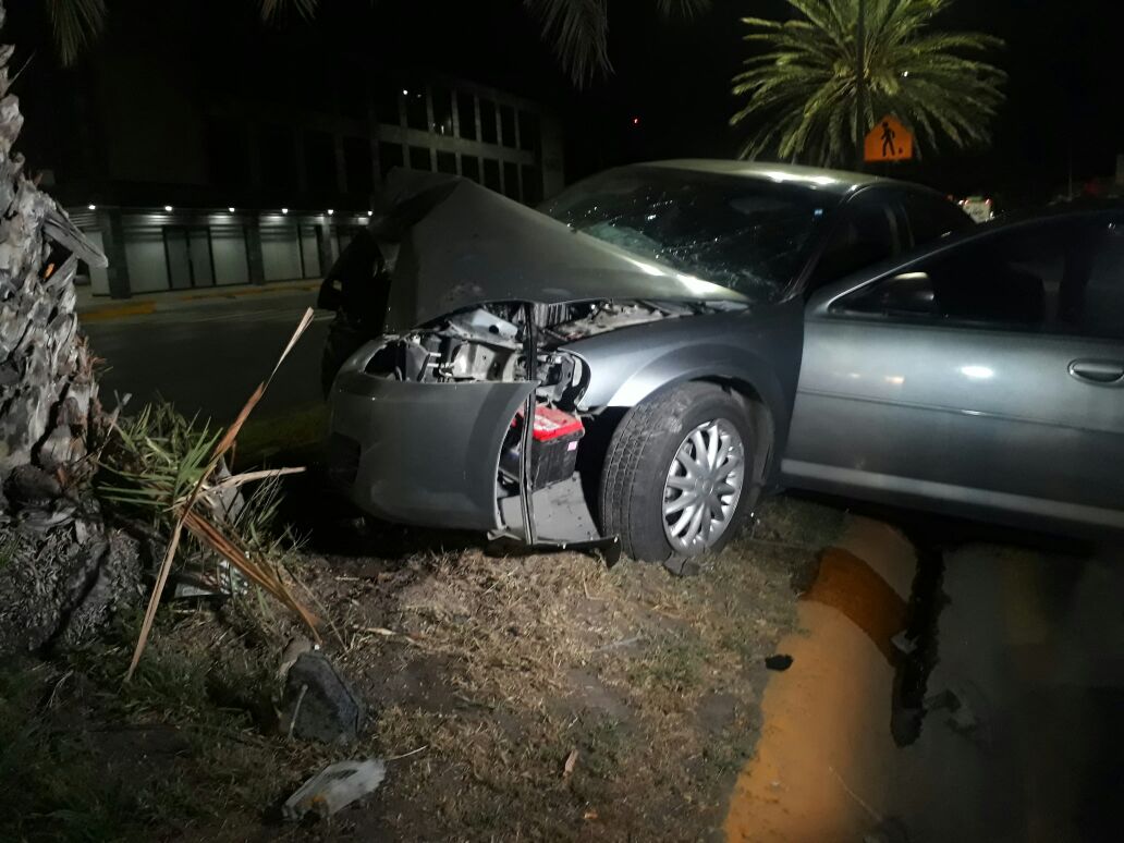 Conductor en estado de ebriedad se impacta contra una palma en Torreón