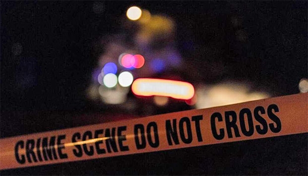 EU incauta 100 casas con cultivos de marihuana