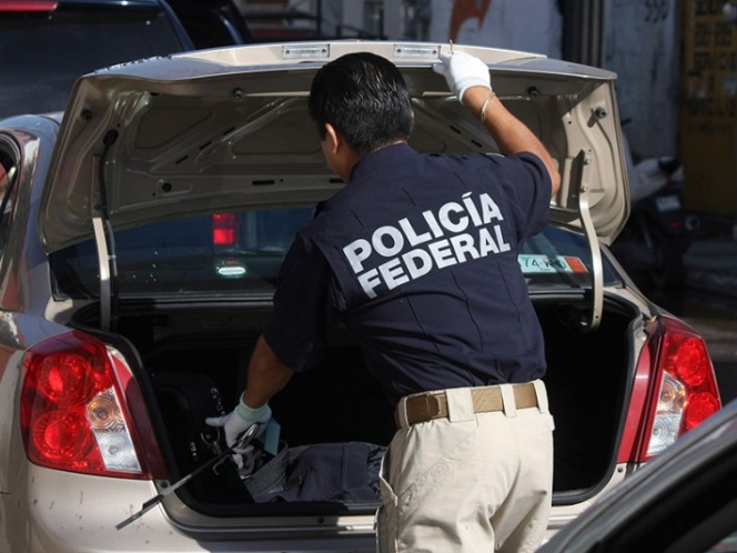 Policía Federal detiene a distribuidor de pornografía infantil