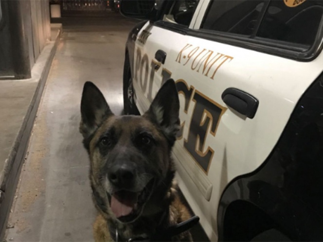 Detienen a tres mexicanos que portaban varios rifles en EU