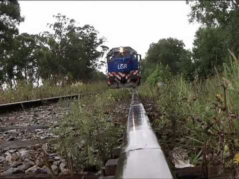 Tras regaño de su madre, se suicida adolescente arrojándose a las vías del tren en Veracruz