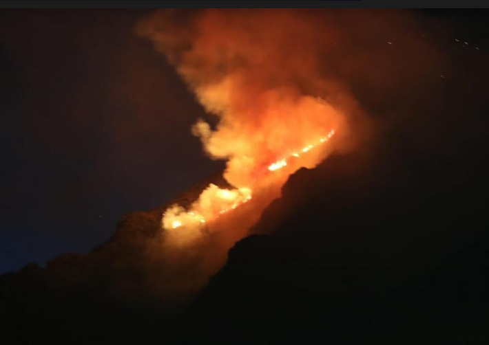 Mantiene acciones de combate a fuego en Sierra de Zapalinamé