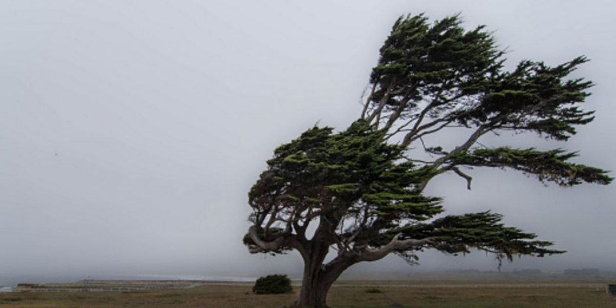 Prevén vientos fuertes, tormentas y tornados en norte y noreste del país