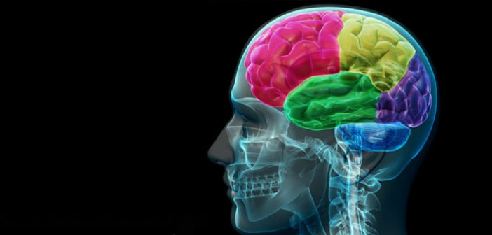 Músicos y bilingües tienen mayor eficiencia cerebral con menor esfuerzo