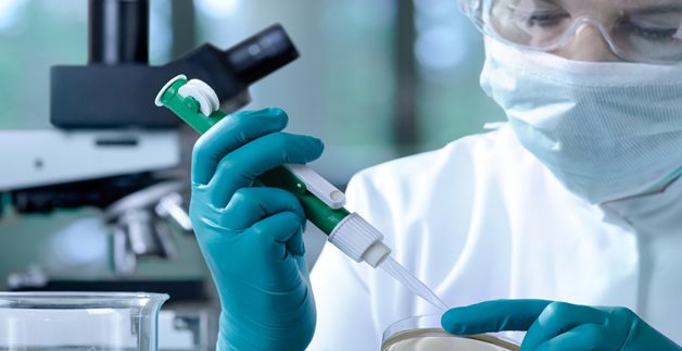 Consiguen mejorar respuesta del cuerpo humano a los implantes