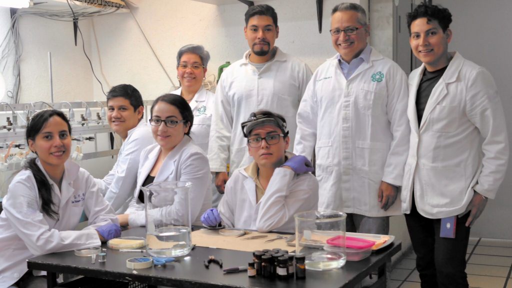 Estudian efectos de sustancia análoga de la metformina