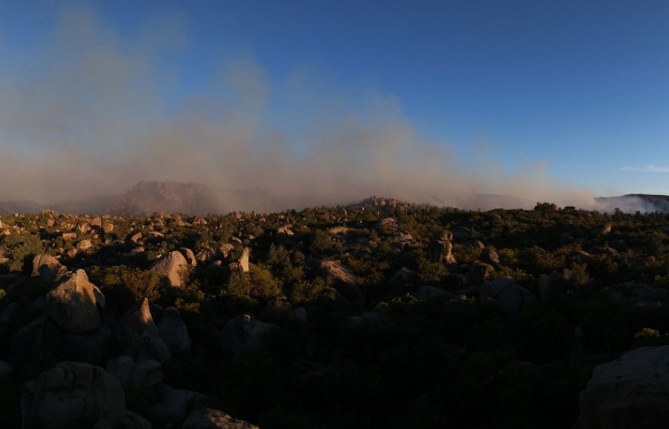 Evalúan daños por incendio forestal en Múzquiz, Coahuila