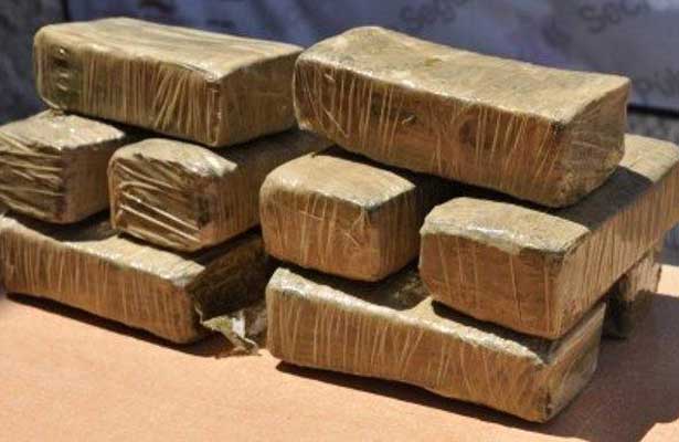 Aseguran casi una tonelada de marihuana en Jalisco