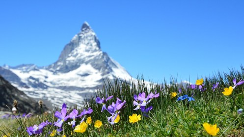 Fotografía, herramienta efectiva para generar conciencia de la biodiversidad