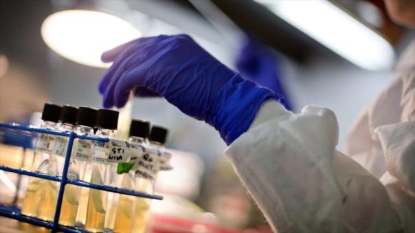 Reportan nueve muertos y 25 casos por brote del virus Nipah en India