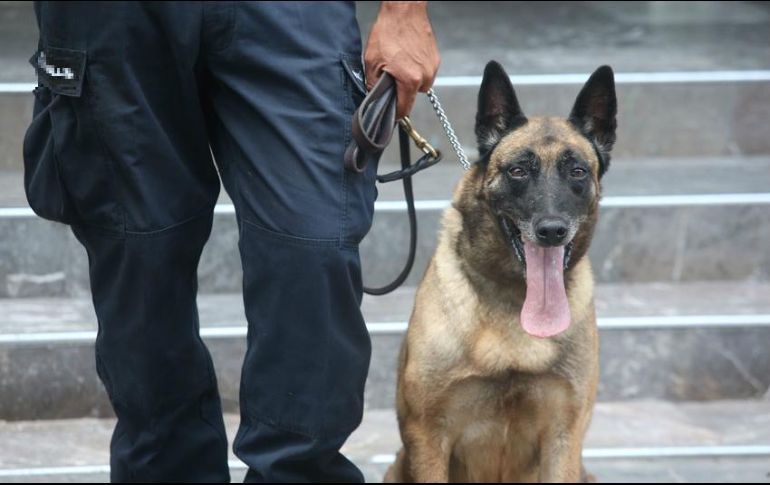 Federales aseguran droga oculta en figuras artesanales