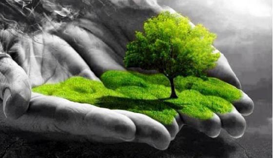 Indispensable desarrollar cultura de prevención ante cambio climático