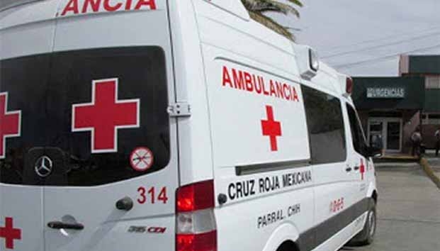 Perro mutila dedo de una pequeña