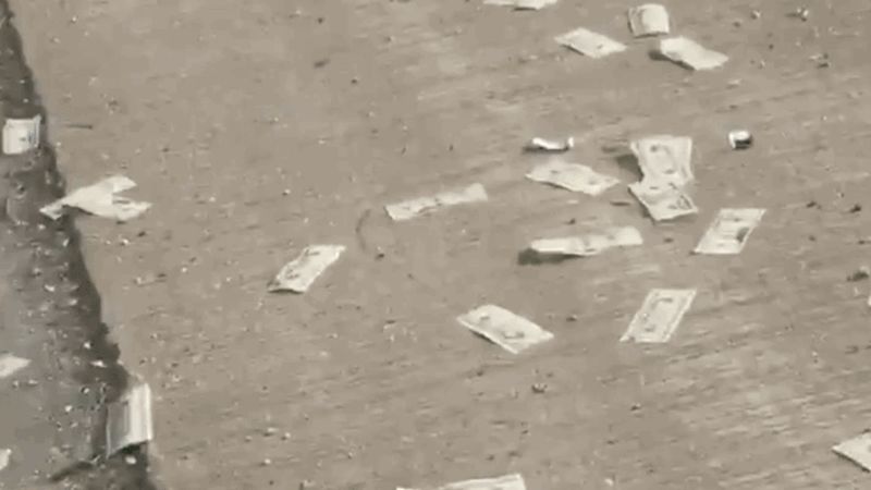 Lluvia de dólares genera caos en autopista