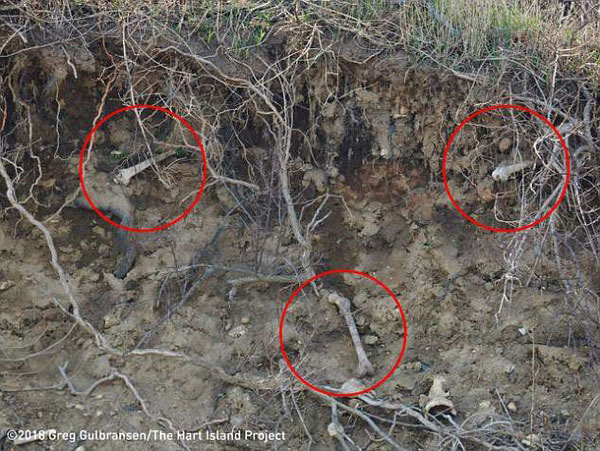 Erosión desentierra decenas de cadáveres en isla de NY