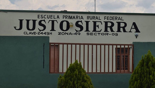 Atacan abejas a niño en silla de ruedas; nadie lo ayudó