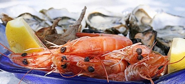 Promueven consumo de pescados y mariscos mexicanos de alta calidad