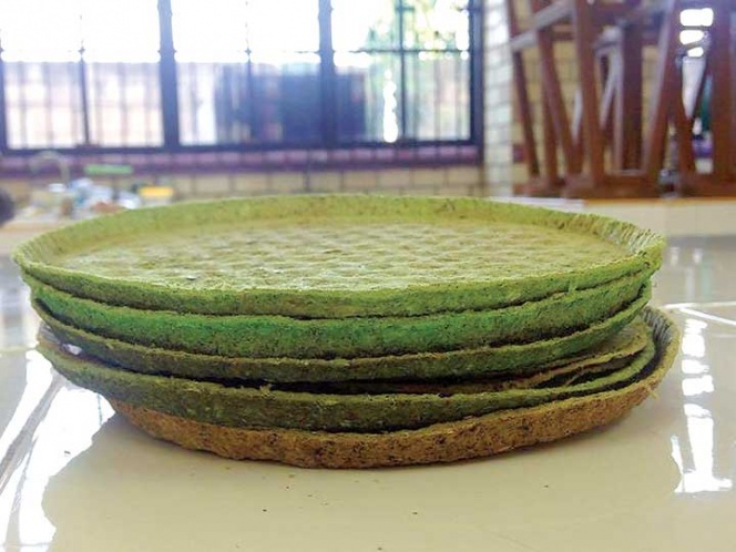 Crean platos de nopal desechables; premio en Tamaulipas