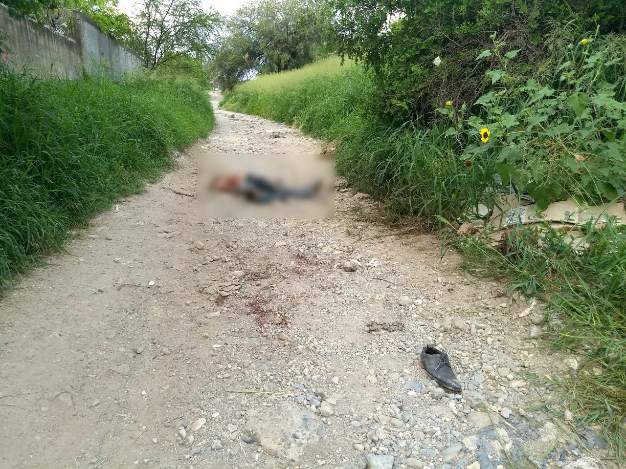 A golpes matan a periodista en Tamulipas