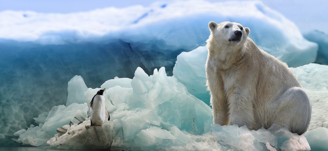 ONU avanza para crear un pacto ambiental global