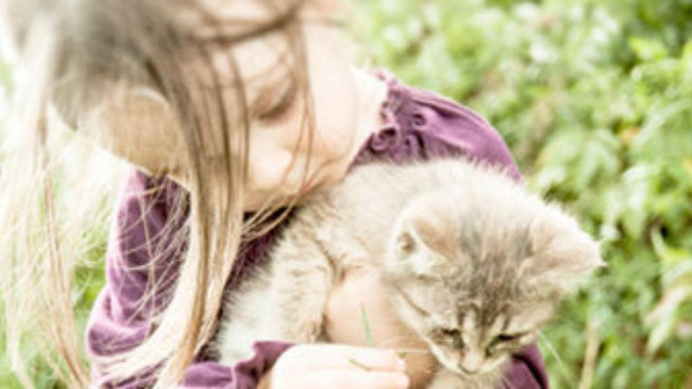 Buscan reducir riesgos a la salud por interacción con animales