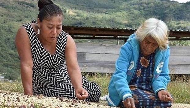 Mujer zapoteca gana concurso internacional de fotografía