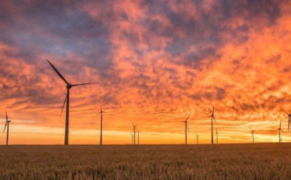 Estiman inversión por 12 mil mdd en energía eólica para próximos cinco años