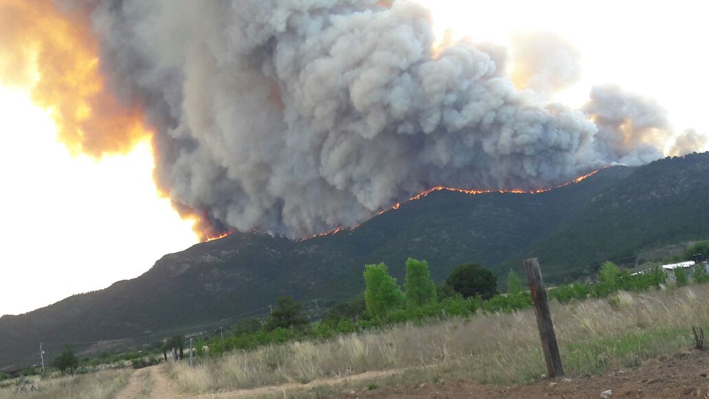 Atienden incendio en la sierra de Arteaga