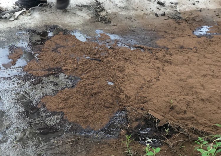 Profepa indaga descarga de aceite en alcantarillado de municipio en NL