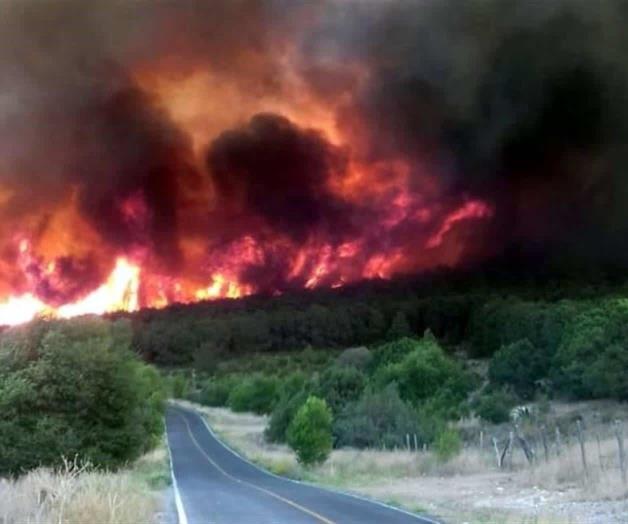 Afecta incendio de Arteaga alrededor de 600 hectáreas