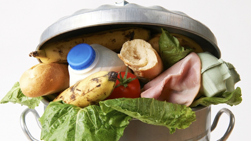 Desarrollan secador solar para disminuir desperdicios de alimento