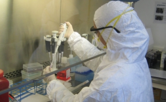 Mexicanos desean mayor impulso a la investigación científica: Encuesta nacional
