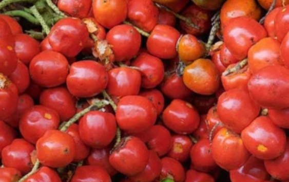 Destacan que fruto tropical de Colombia previene enfermedades cardiácas