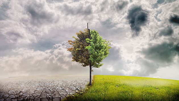 NASA estudiará impacto del calentamiento global en las plantas