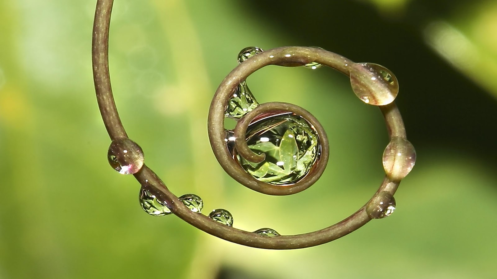 La naturaleza como fuente inspiradora del diseño industrial