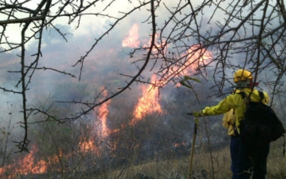 Laboran 119 combatientes en incendios forestales en cinco estados