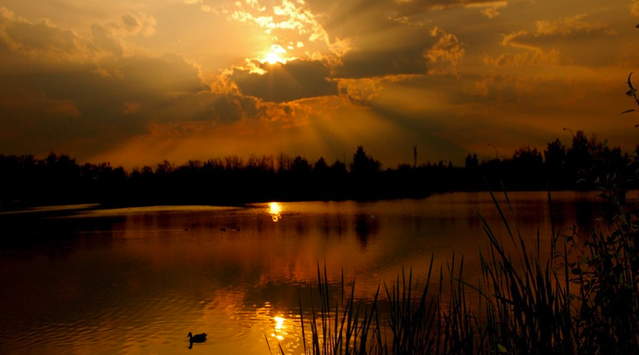 Los días tenían 18 horas hace millones de años, según estudio