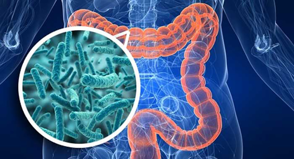 ¿Microbiomas?, un ecosistema microbiológico viviendo dentro de nosotros