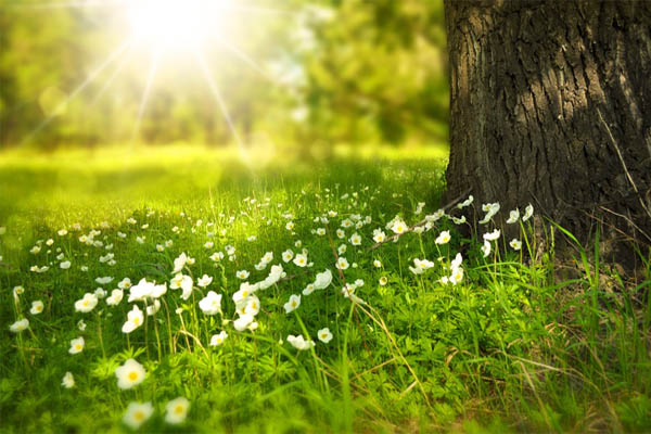 Primavera 2018, la tercera más cálida en 138 años