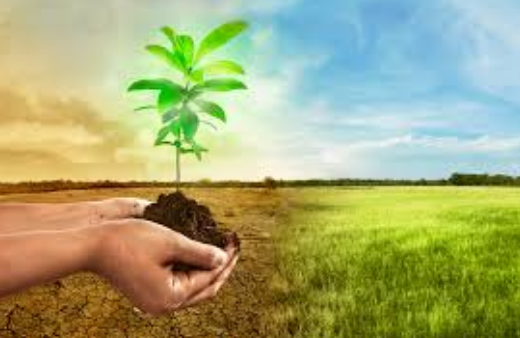 Marco normativo contra cambio climático en México es positivo: expertos