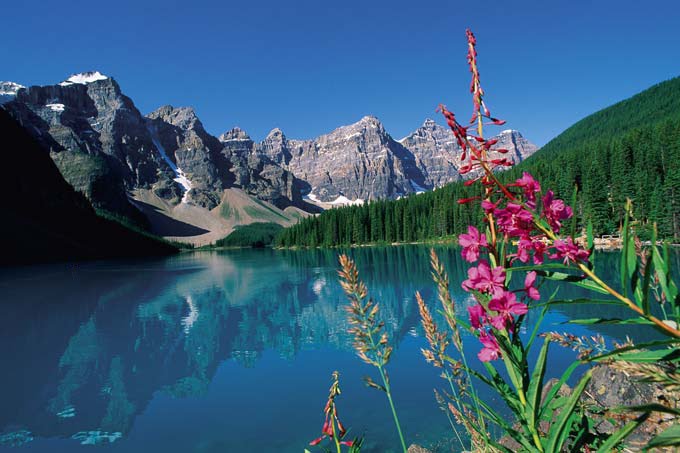 Derechos Humanos pide proteger garantía a un medio ambiente sano