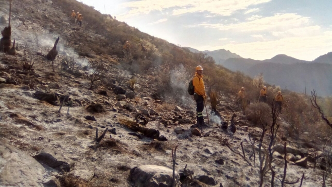 Liquidan incendio forestal en la Sierra de Arteaga