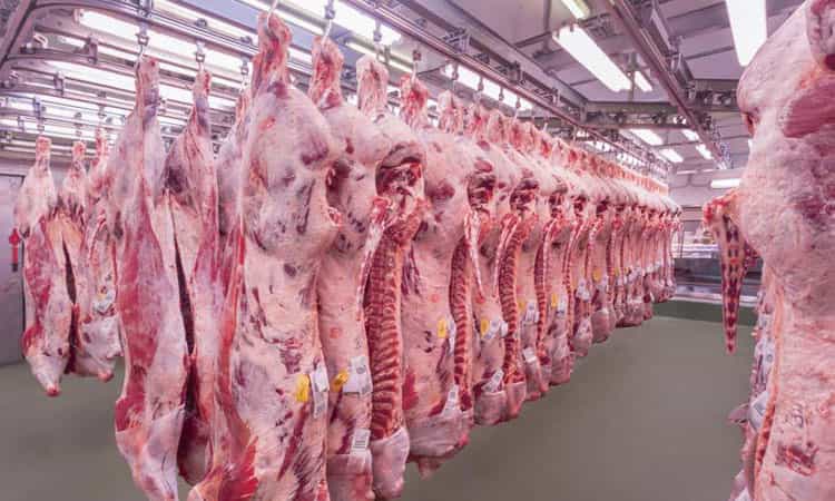 Tras aranceles impuestos a EU, llega primer cargamento de carne alemana a Veracruz